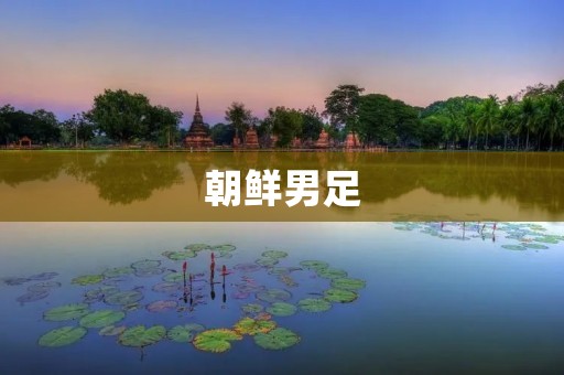 朝鲜男足：实力与潜力并存