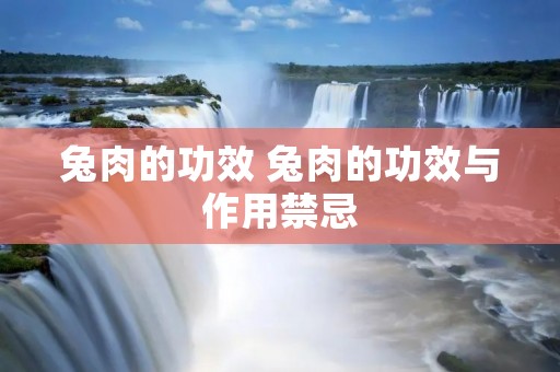 兔肉的功效 兔肉的功效与作用禁忌