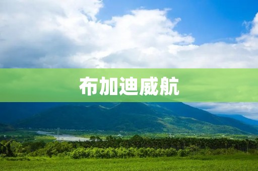 布加迪威航:极致速度与奢华的完美结合 布加迪威航:极致速度与奢华的完美结合