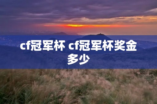 cf冠军杯 cf冠军杯奖金多少