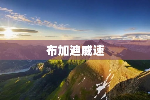 布加迪威速：飞驰在极速之巅