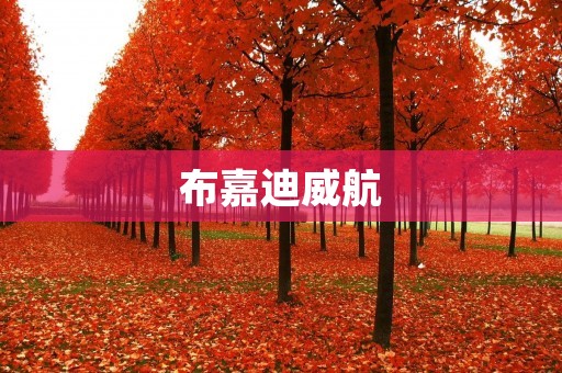 布嘉迪威航：打造全球领先的航空服务供应商