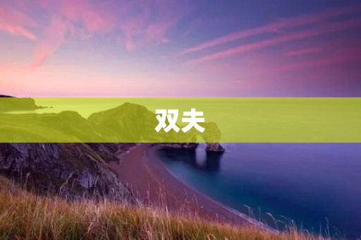 双夫:一段不寻常的婚姻经历