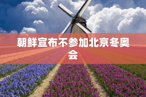朝鲜宣布不参加北京冬奥会:缘由、影响及展望 朝鲜宣布不参加北京冬奥会:缘由、影响及展望
