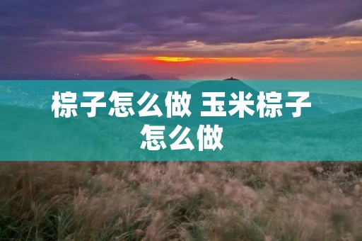 棕子怎么做 玉米棕子怎么做