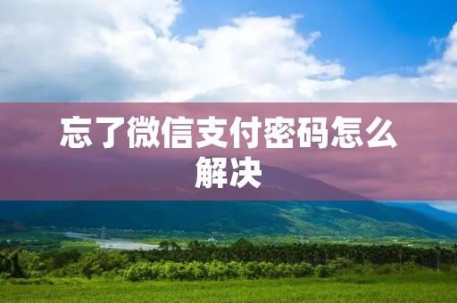 忘了微信支付密码怎么解决