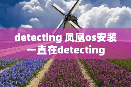 detecting 凤凰os安装一直在detecting detecting 凤凰os安装一直在detecting