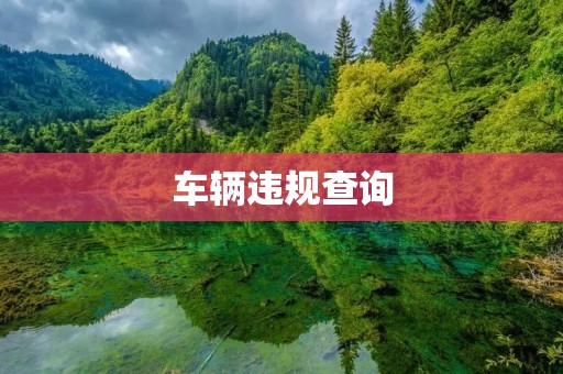车辆违规查询:保障道路安全的重要一步 车辆违规查询:保障道路安全的重要一步