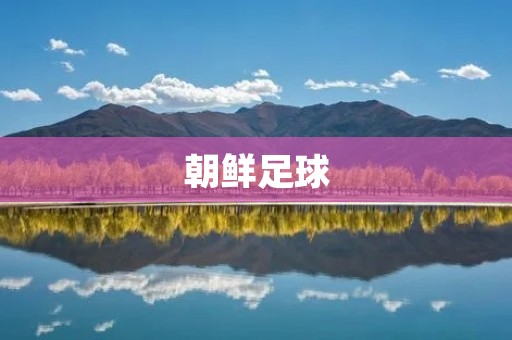 朝鲜足球:从起步阶段到现状 朝鲜足球:从起步阶段到现状