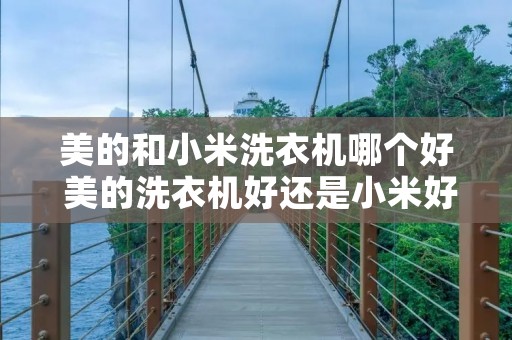 美的和小米洗衣机哪个好 美的洗衣机好还是小米好 美的和小米洗衣机哪个好 美的洗衣机好还是小米好
