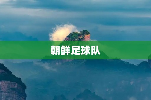 朝鲜足球队：从过去到未来的蜕变
