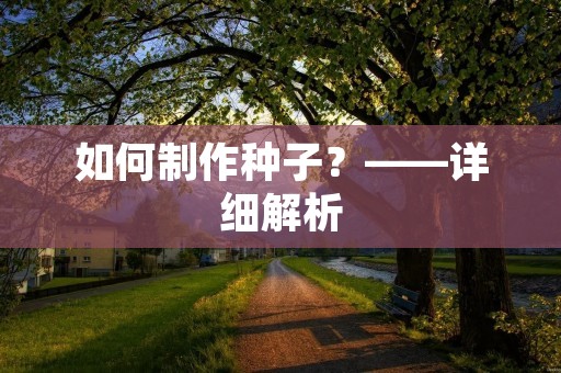 如何制作种子？——详细解析