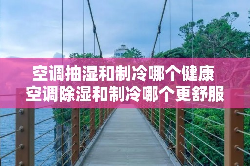 空调抽湿和制冷哪个健康 空调除湿和制冷哪个更舒服 空调抽湿和制冷哪个健康 空调除湿和制冷哪个更舒服