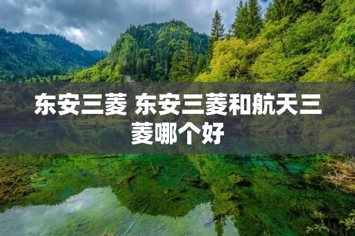 东安三菱 东安三菱和航天三菱哪个好 东安三菱 东安三菱和航天三菱哪个好