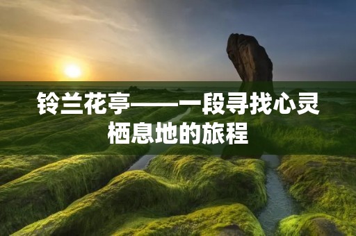 铃兰花亭——一段寻找心灵栖息地的旅程
