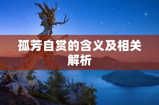 孤芳自赏的含义及相关解析