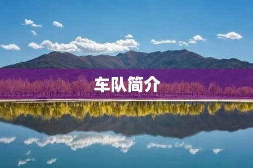 车队简介：为您提供专业、高效的汽车服务