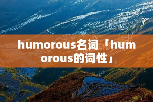 humorous名词「humorous的词性」