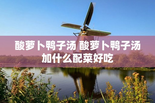 酸萝卜鸭子汤 酸萝卜鸭子汤加什么配菜好吃