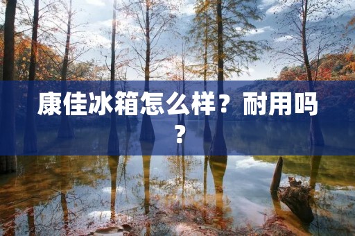 康佳冰箱怎么样?耐用吗?