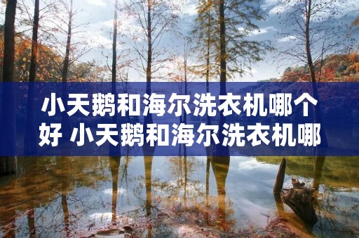小天鹅和海尔洗衣机哪个好 小天鹅和海尔洗衣机哪个好波轮