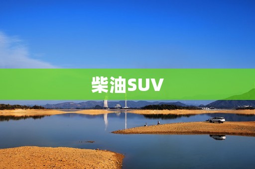 柴油SUV:为什么它们仍然是市场热门? 柴油SUV:为什么它们仍然是市场热门?