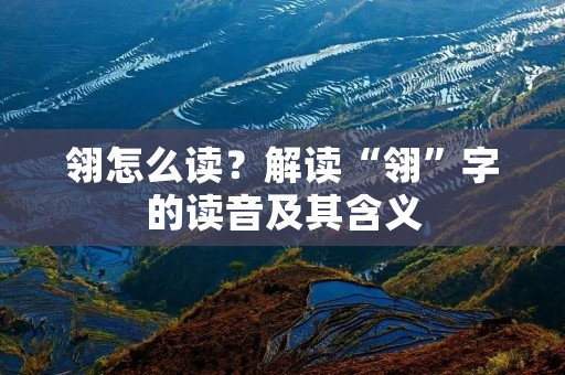 翎怎么读?解读“翎”字的读音及其含义