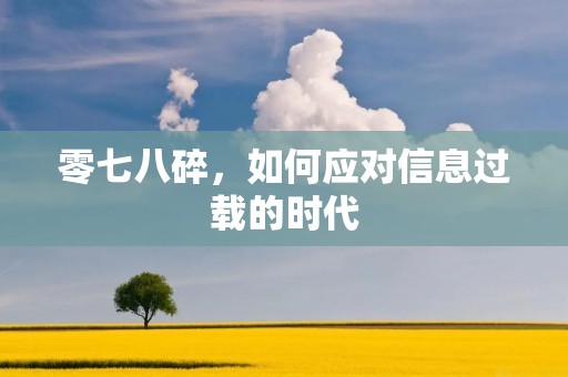 零七八碎,如何应对信息过载的时代