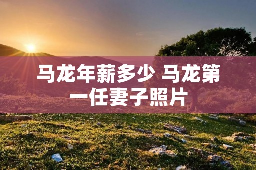 马龙年薪多少 马龙第一任妻子照片