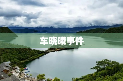 车晓曦事件：一场医疗事件的反思