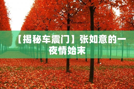 【揭秘车震门】张如意的***始末
