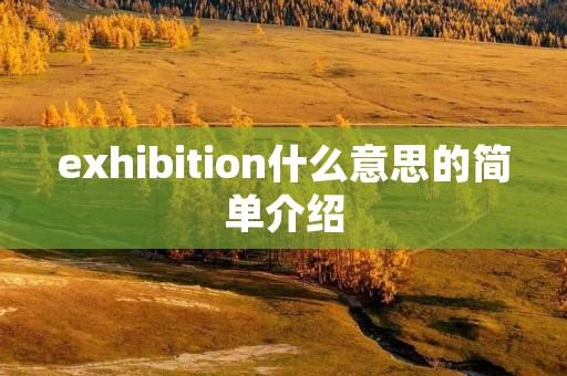 exhibition什么意思的简单介绍