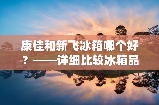 康佳和新飞冰箱哪个好?——详细比较冰箱品牌 康佳和新飞冰箱哪个好?——详细比较冰箱品牌