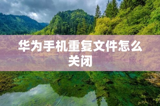 华为手机重复文件怎么关闭
