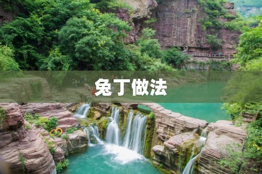 兔丁做法:香酥可口的新年美味 兔丁做法:香酥可口的新年美味