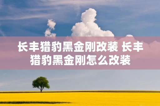 长丰猎豹黑金刚改装 长丰猎豹黑金刚怎么改装 长丰猎豹黑金刚改装 长丰猎豹黑金刚怎么改装