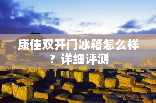 康佳**门冰箱怎么样？详细评测