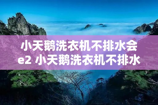 小天鹅洗衣机不排水会e2 小天鹅洗衣机不排水e4