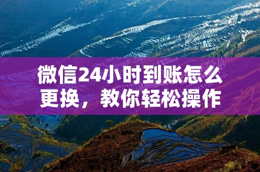 微信24小时到账怎么更换，教你轻松操作