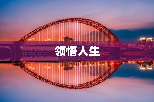 领悟人生:追寻内心的真正意义