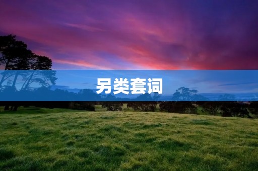 另类套词:在文字游戏中玩出不一样的花样