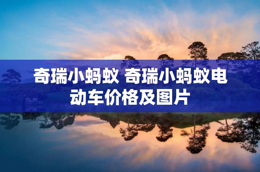 奇瑞小蚂蚁 奇瑞小蚂蚁电动车价格及图片 奇瑞小蚂蚁 奇瑞小蚂蚁电动车价格及图片