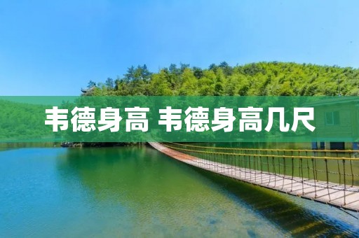 韦德身高 韦德身高几尺
