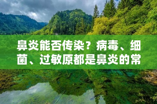 鼻炎能否传染?病毒、细菌、过敏原都是鼻炎的常见病因,但是对于鼻炎患者和他们周围的人来说,最关心的问题之一就是鼻炎是否具有传染性。本文将从不同类型的鼻炎入手,探讨鼻炎的传染性问题。
