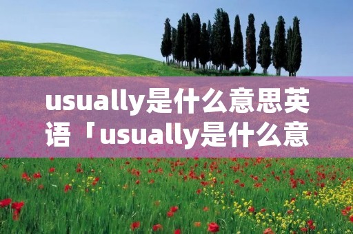 usually是什么意思英语「usually是什么意思英语怎么读音」