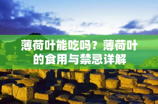 薄荷叶能吃吗?薄荷叶的食用与禁忌详解
