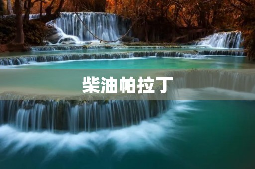 柴油帕拉丁:高效、耐用、节能的工业利器 柴油帕拉丁:高效、耐用、节能的工业利器