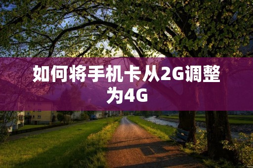 如何将手机卡从2G调整为4G