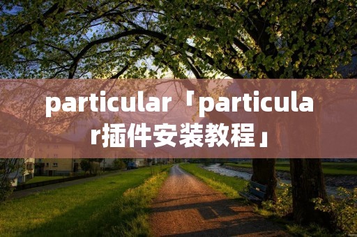 particular「particular插件安装教程」