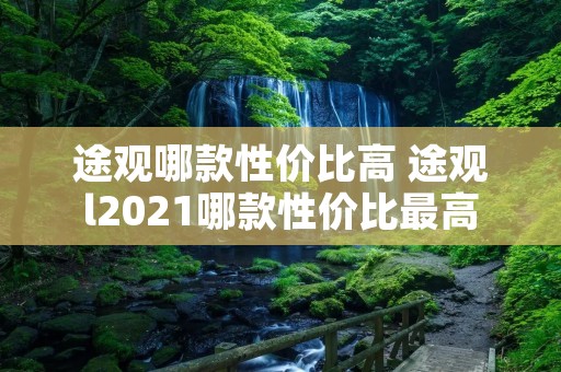 途观哪款性价比高 途观l2021哪款性价比最高